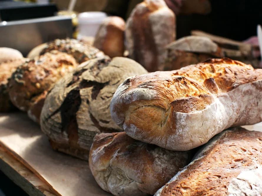 Fileira de pães artesanais variados, redondos e compridos, expostos lado a lado sobre uma bancada